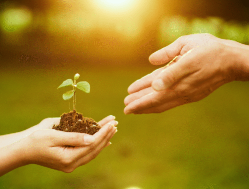 Oración para no perder la esperanza.